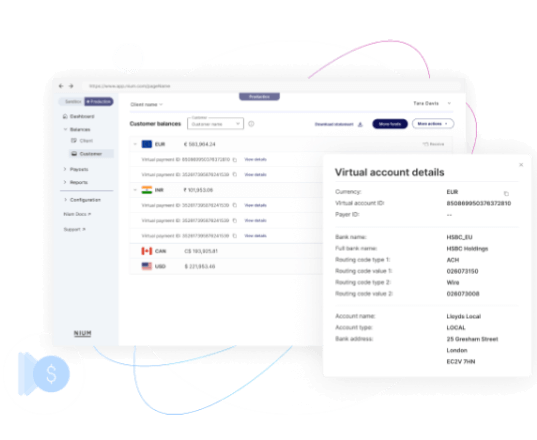 Multi Currency Accounts
